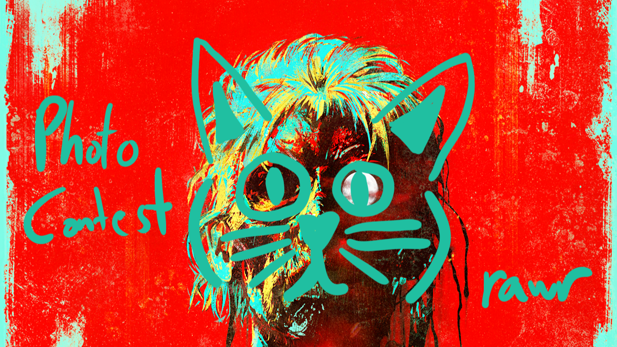 Community Cat Contest